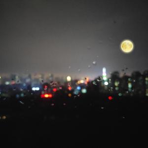 男朋友脱我内裤揉我下面视频
